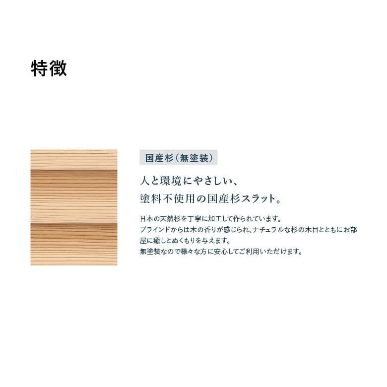特徴