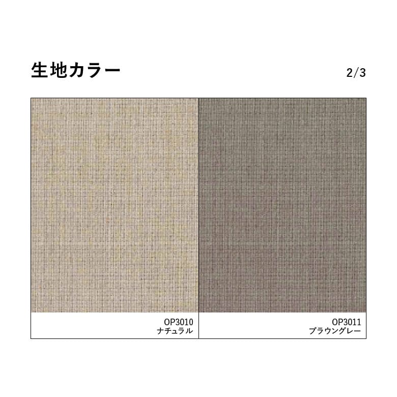 生地カラー2/3