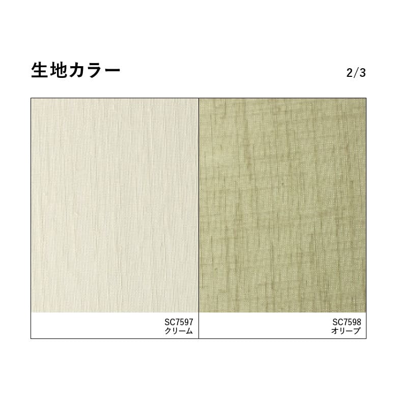 生地カラー2/3